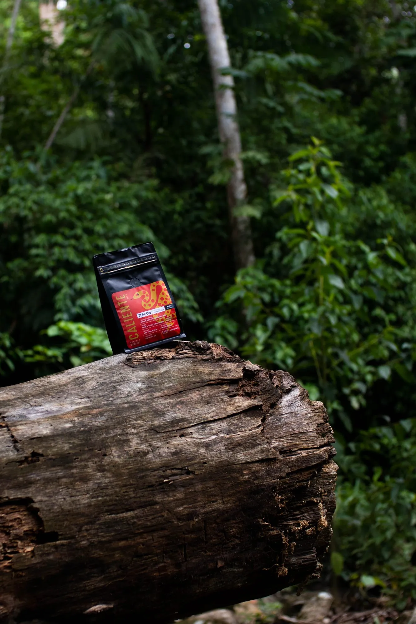 El lado fuerte de la selva ya está aquí
